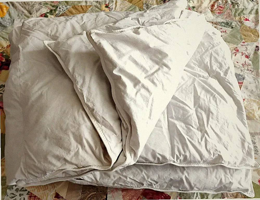 Down Duvet Insert Cotton White King size 108" x 92"