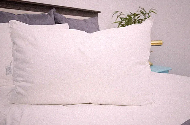 IHG Featherbest QUEEN SOFT Pillow Featured at IHG Hotels FREE PILLOWCASE