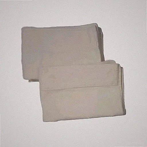 Set Of 2 Creamy White Flannel Pillowcases By Home. 20 X 26 Standard Only